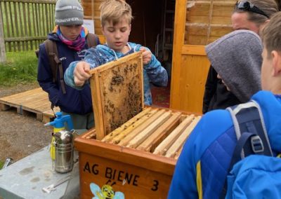 AG Biene in Aktion, Besuch aus der Elstertalschule Greiz