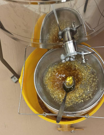 Bienen AG Langenwetzendorf Honig Schleudern