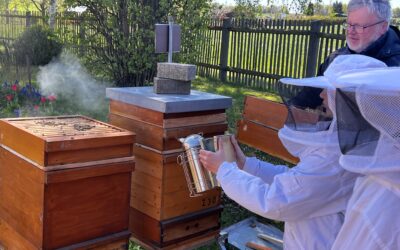 Kontrolle am Bienenstand
